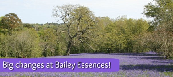 New Beginnings – March 2016