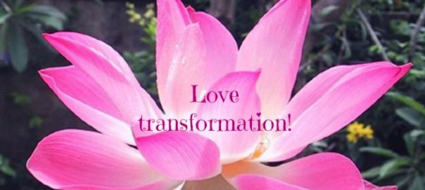 July 2016 – Transformation