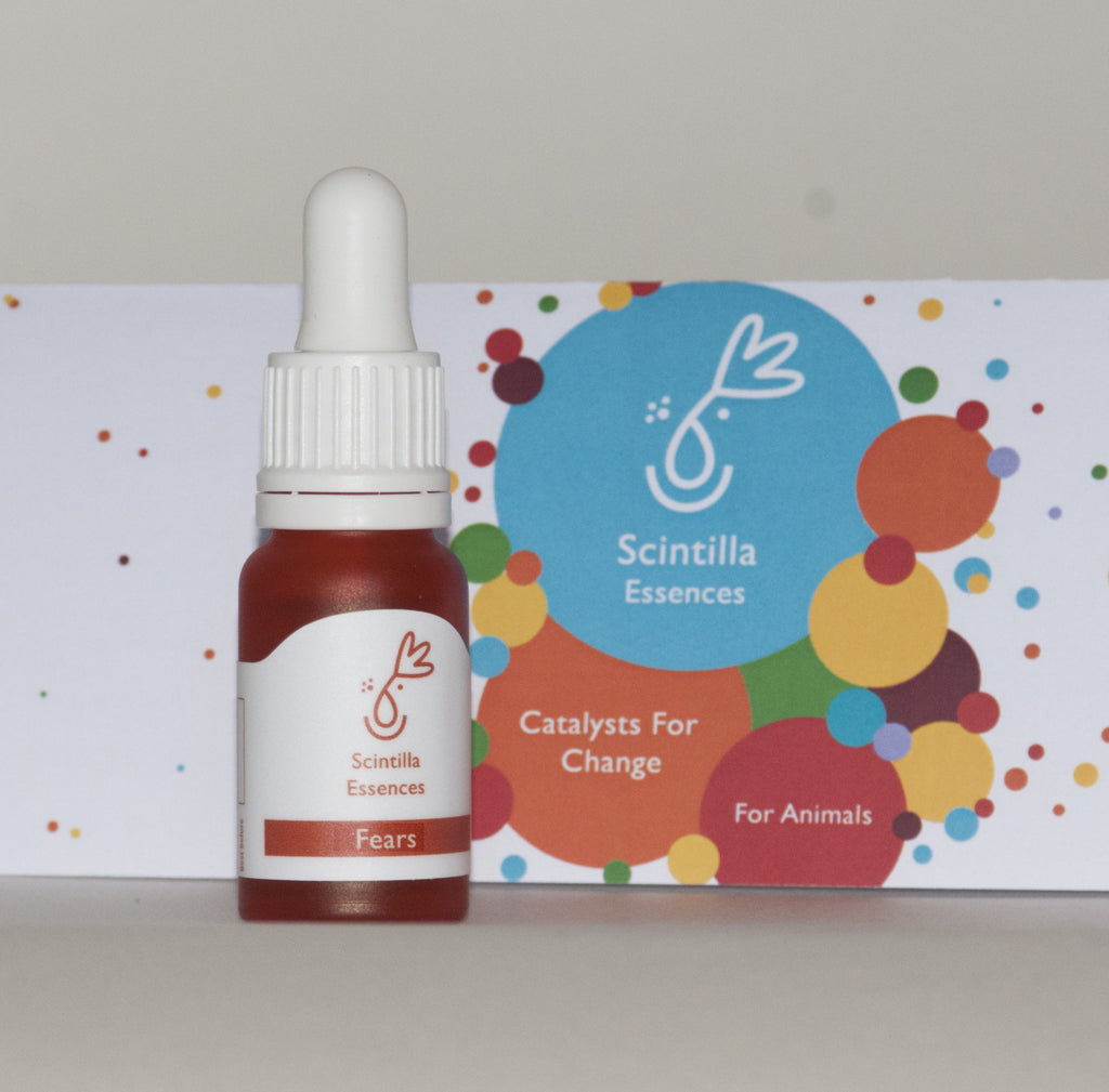 Scintilla for Animals Fears Yorkshire Flower Essences