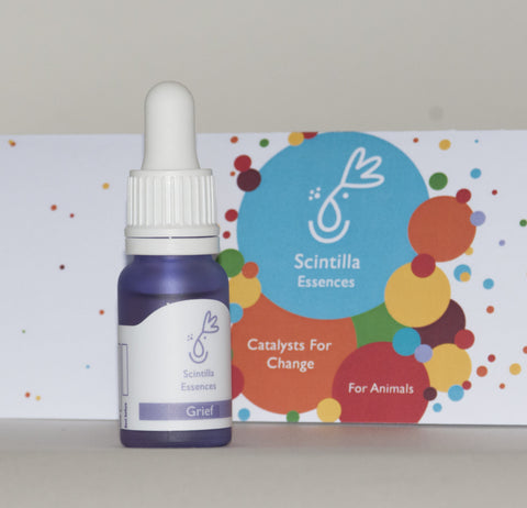 Scintilla for Animals - Grief