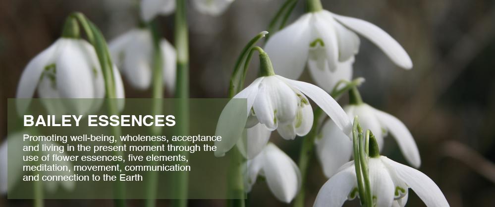 BAILEY ESSENCES