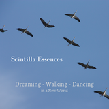 Scintilla New World - 2 - Walking in a New World