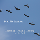 Scintilla New World - 4 - Dreaming, Walking and Dancing in a New World