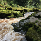 Verbeia River Essence - The Strid