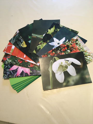 Winter Cards Collection - also supporting Ilkley Manor House