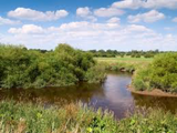 Verbeia River Essence - Cawood