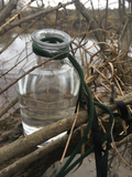 Verbeia River Essence - Cawood