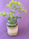 Inside Out - Lady's Mantle Essence