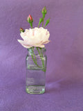 Inside Out - Light Pink Rose essence