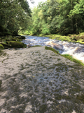 Verbeia River Essence - The Strid