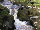 Verbeia River Essence - The Strid